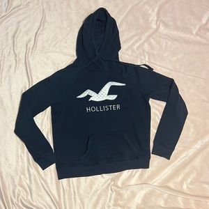 navy blue hollister hoodie
